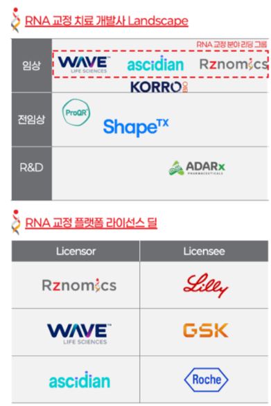 RNA 교정치료제 시장